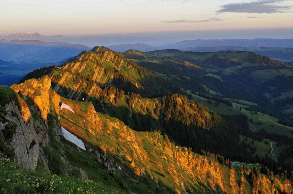Alpin & Wellness Resort Hotel Ludwig Royal Oberstaufen Exteriér fotografie